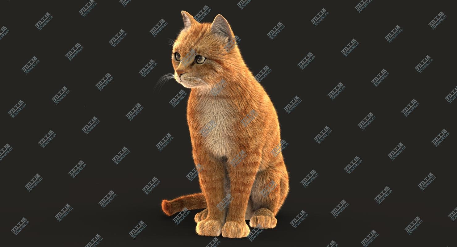 images/goods_img/20210113/3D Cat (2) (Orange Tabby) (ANIMATED) (FUR) model/1.jpg